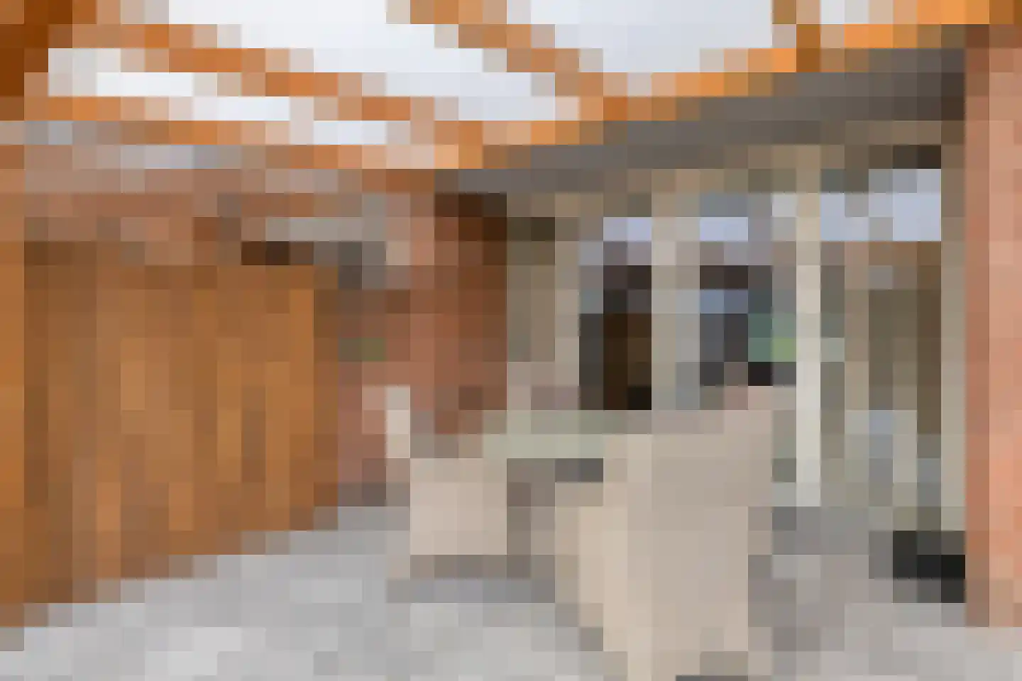 Vaandelstraat 31 Prinsenbeek thumbnail 30