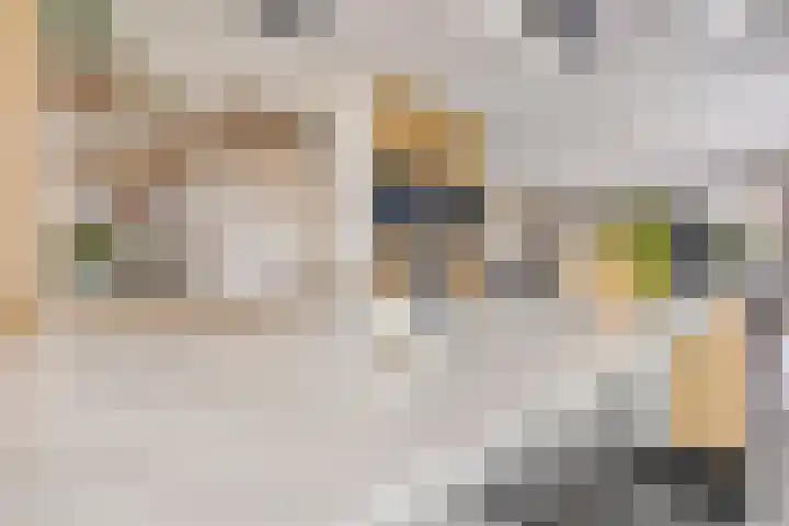 Vaandrig 11 Gorinchem thumbnail 13
