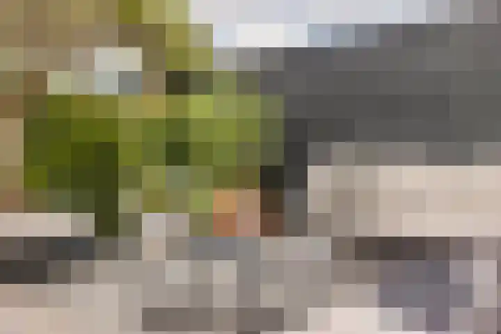 Vaandrig 11 Gorinchem thumbnail 17