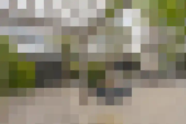 Vaandrig 11 Gorinchem thumbnail 19