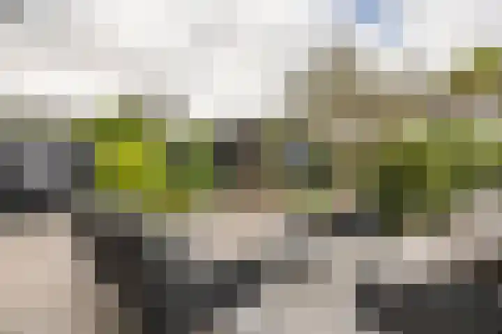 Vaandrig 11 Gorinchem thumbnail 20