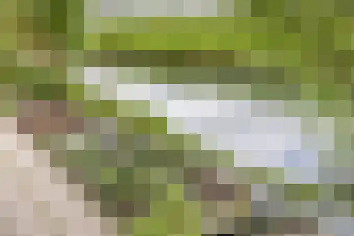 Vaandrig 11 Gorinchem thumbnail 37