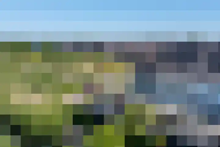Vaandrig 11 Gorinchem thumbnail 4