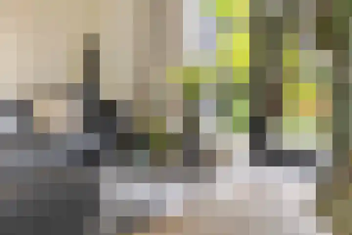 Vaandrig 11 Gorinchem thumbnail 7