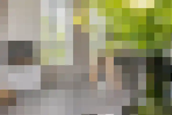 Vaandrig 11 Gorinchem thumbnail 8