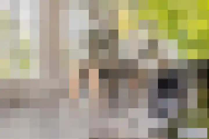 Vaandrig 11 Gorinchem thumbnail 9