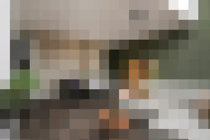 Vaandrig 18 Boxtel thumbnail 11
