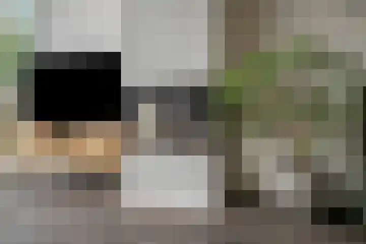 Vaandrig 18 Boxtel thumbnail 12