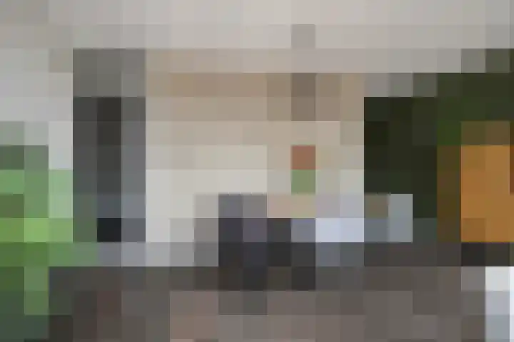 Vaandrig 18 Boxtel thumbnail 13