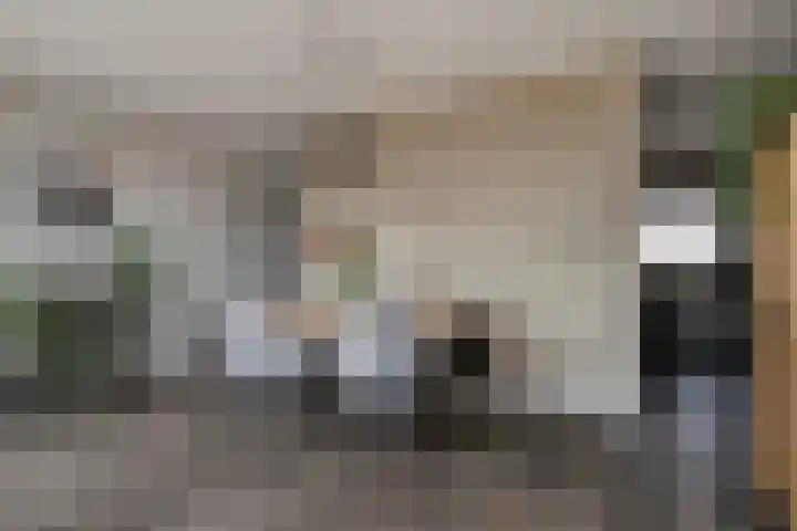Vaandrig 18 Boxtel thumbnail 14