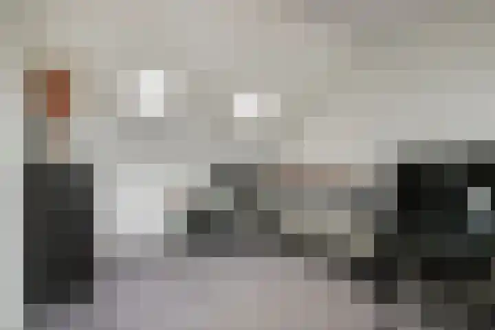 Vaandrig 18 Boxtel thumbnail 21