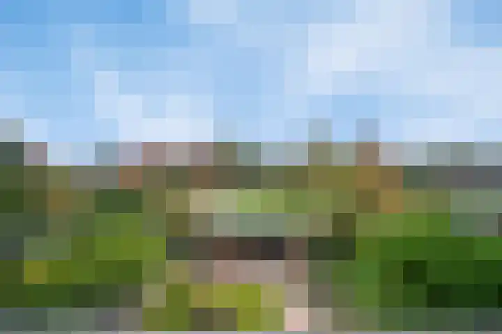 Vaandrig 18 Boxtel thumbnail 28