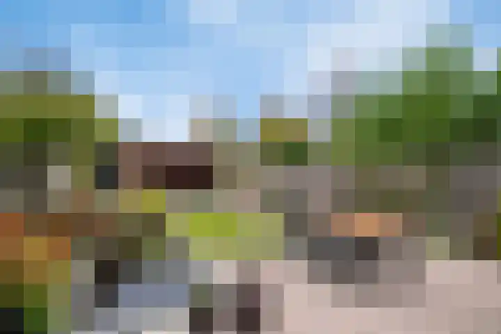 Vaandrig 18 Boxtel thumbnail 5