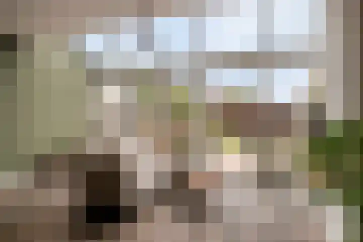 Vaandrig 18 Boxtel thumbnail 8