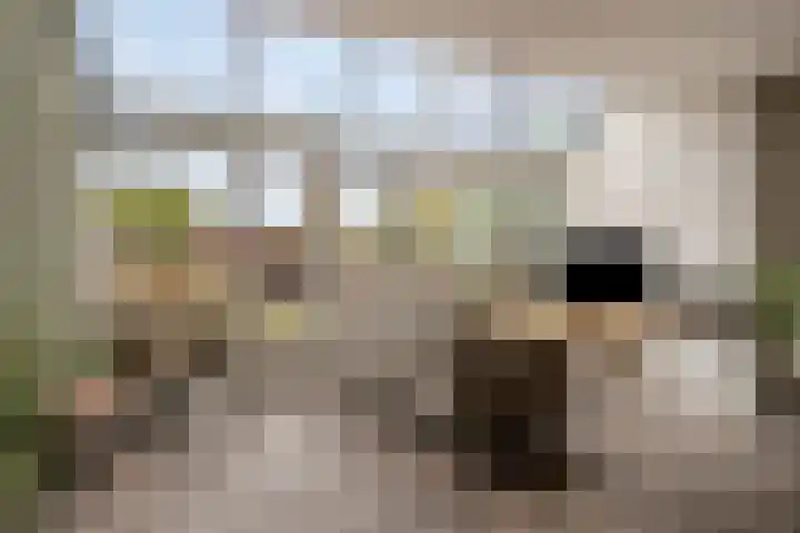 Vaandrig 18 Boxtel thumbnail 9