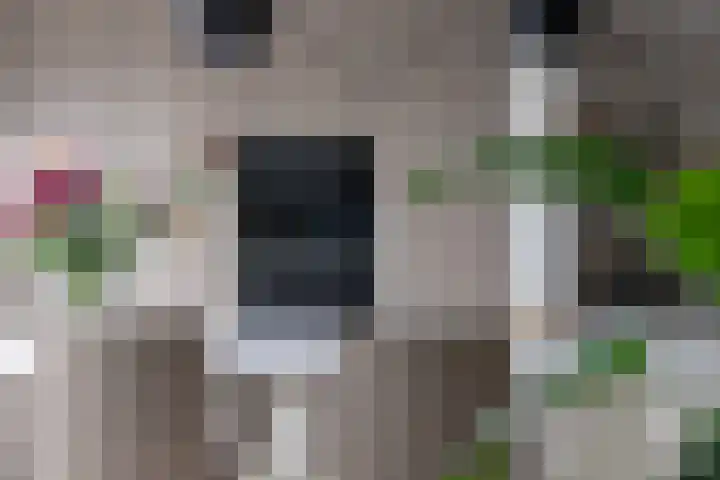 Vaandrig 5 Gorinchem thumbnail 10