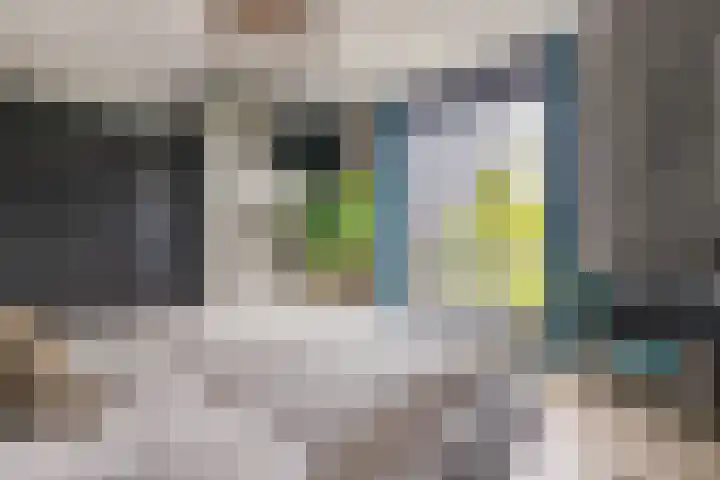 Vaandrig 5 Gorinchem thumbnail 15