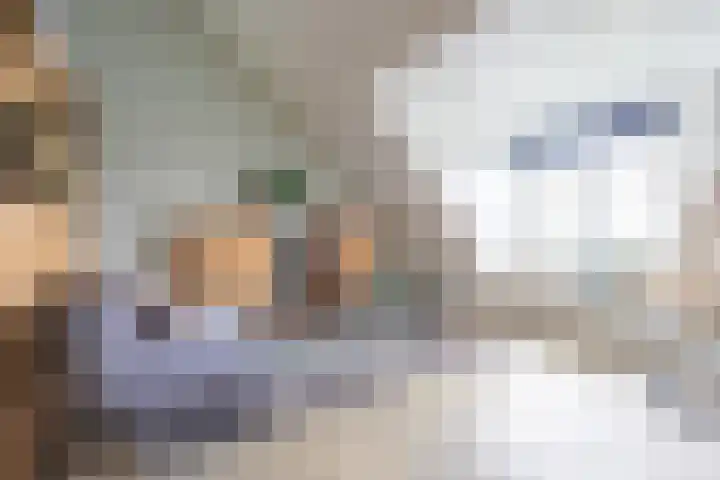 Vaandrig 5 Gorinchem thumbnail 22