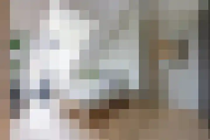 Vaandrig 5 Gorinchem thumbnail 24
