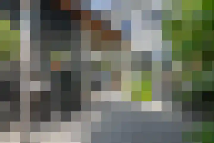 Vaandrig 5 Gorinchem thumbnail 26