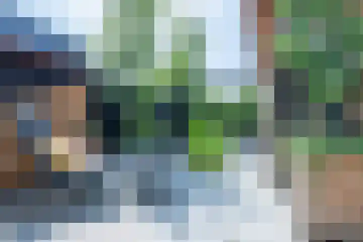 Vaandrig 5 Gorinchem thumbnail 27