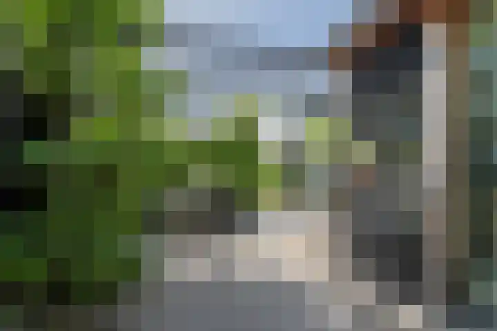Vaandrig 5 Gorinchem thumbnail 28