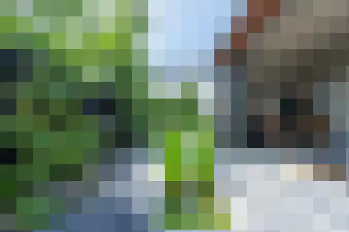 Vaandrig 5 Gorinchem thumbnail 29