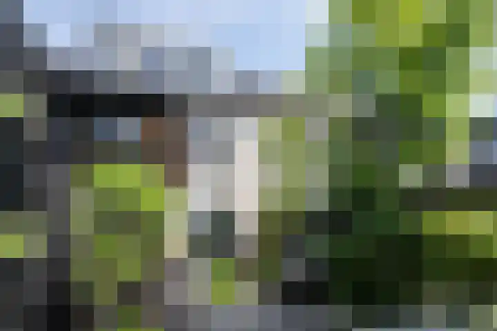 Vaandrig 5 Gorinchem thumbnail 32