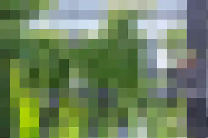 Vaandrig 5 Gorinchem thumbnail 33