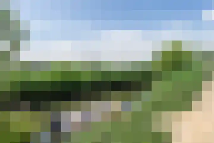 Vaandrig 5 Gorinchem thumbnail 34