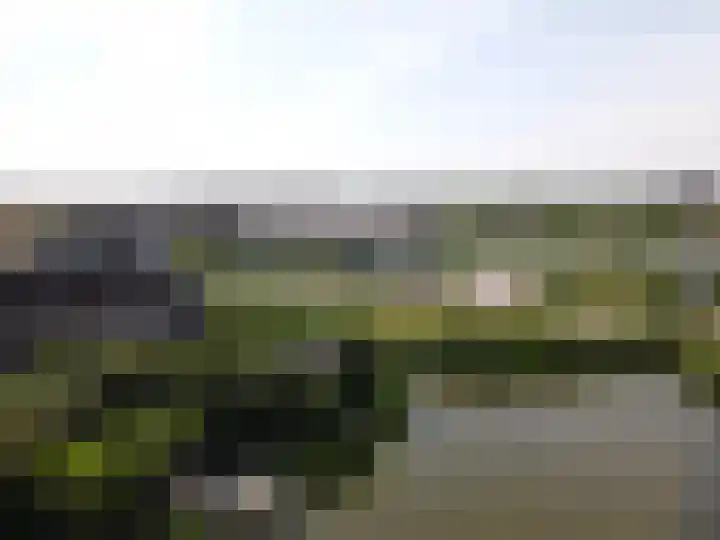 Vaandrig 5 Gorinchem thumbnail 36
