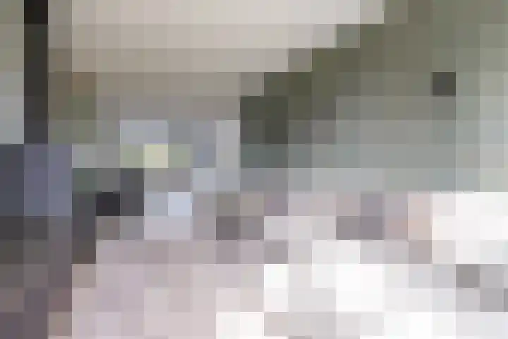 Vaandrig 5 Gorinchem thumbnail 42