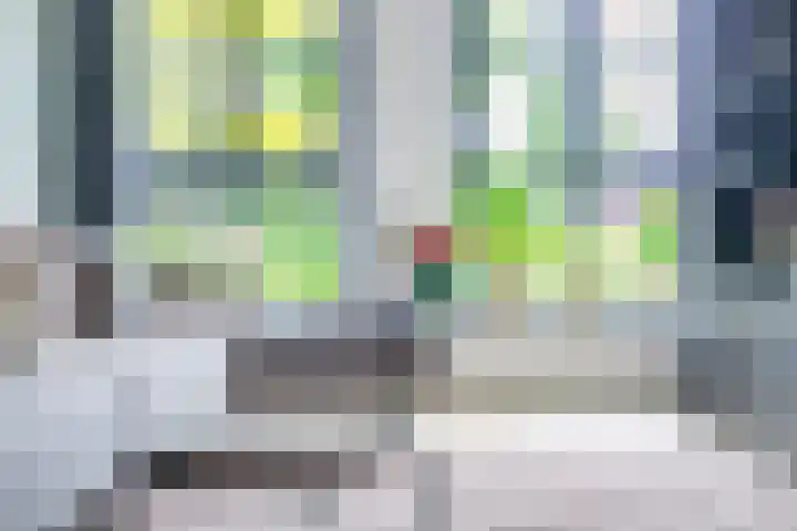 Vaandrig 5 Gorinchem thumbnail 5