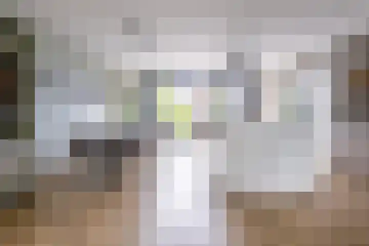 Vaandrig 5 Gorinchem thumbnail 7
