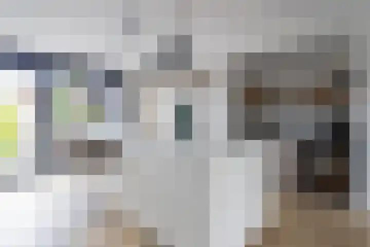 Vaandrig 5 Gorinchem thumbnail 8