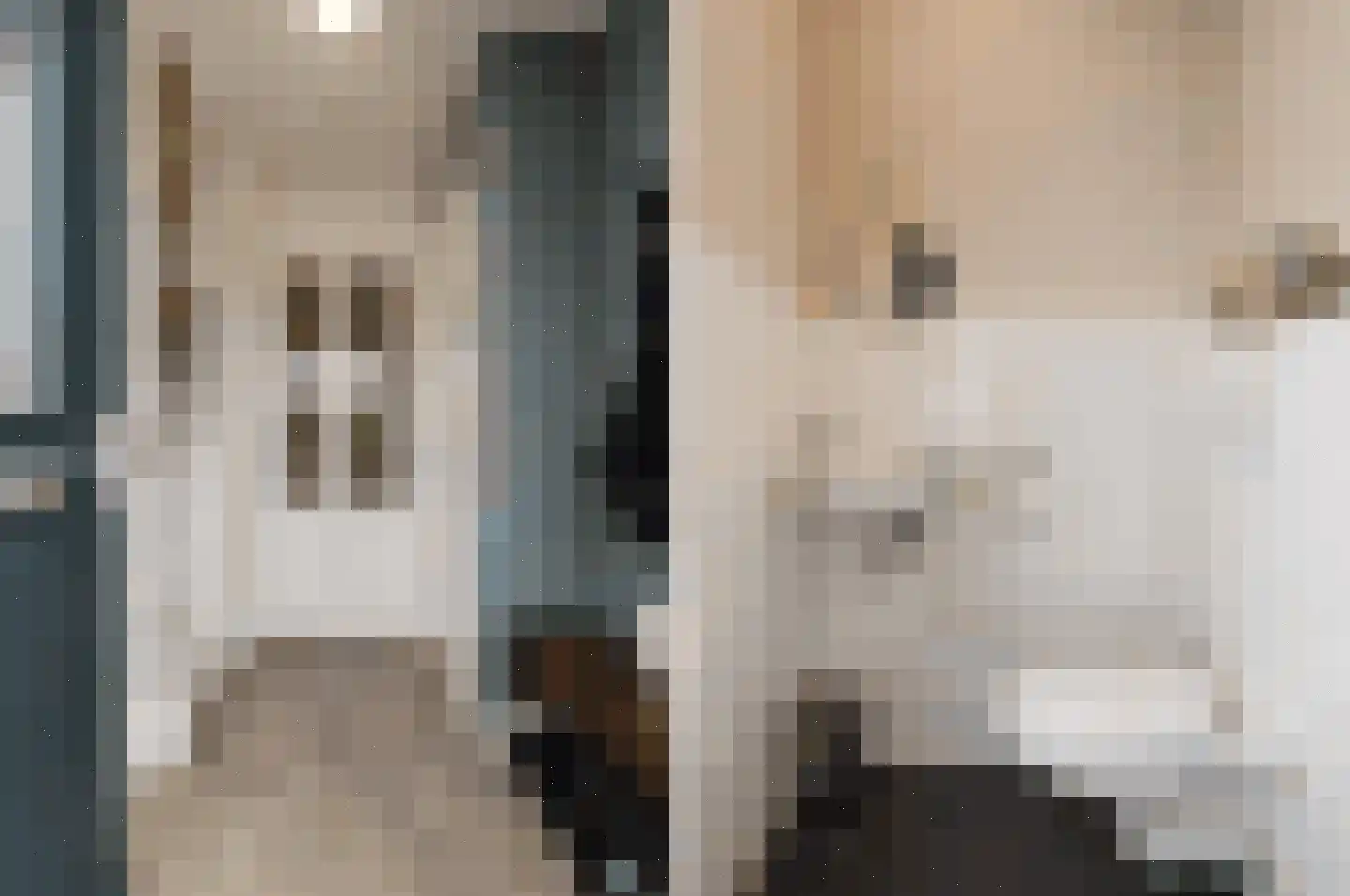 Vaandrig 6 Lierop thumbnail 10