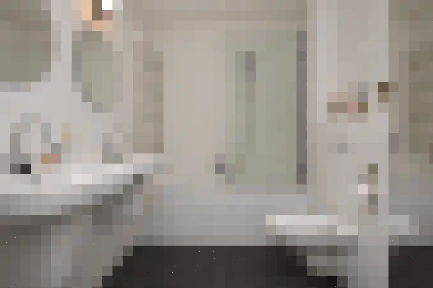 Vaandrig 6 Lierop thumbnail 15