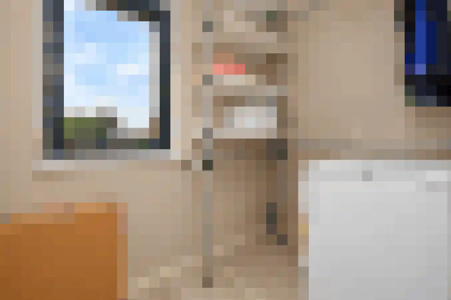 Vaandrig 6 Lierop thumbnail 16