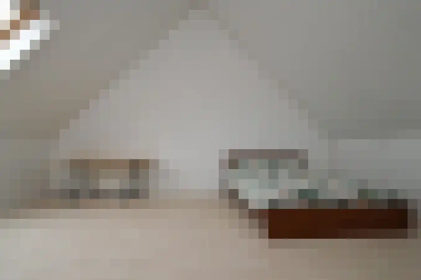Vaandrig 6 Lierop thumbnail 17