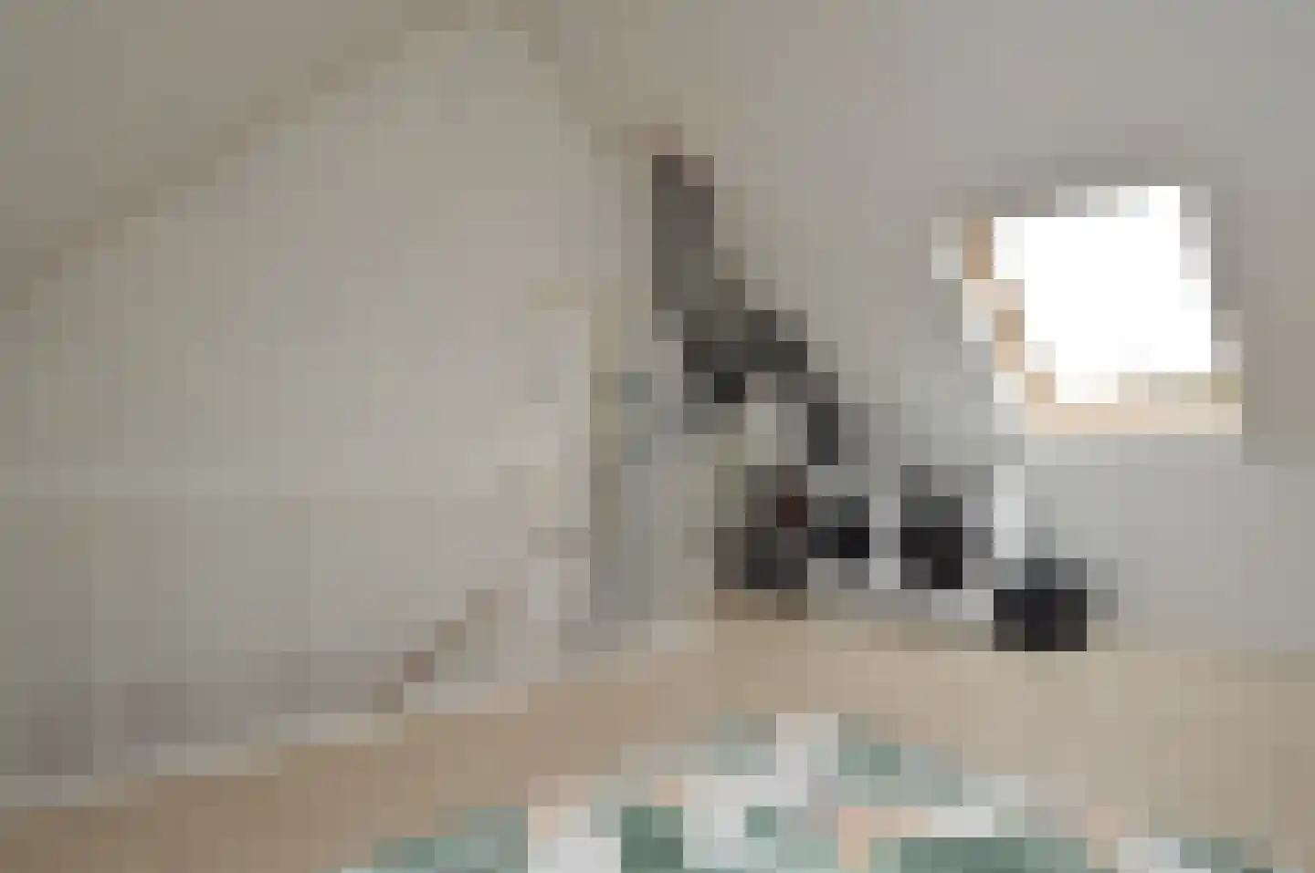 Vaandrig 6 Lierop thumbnail 18