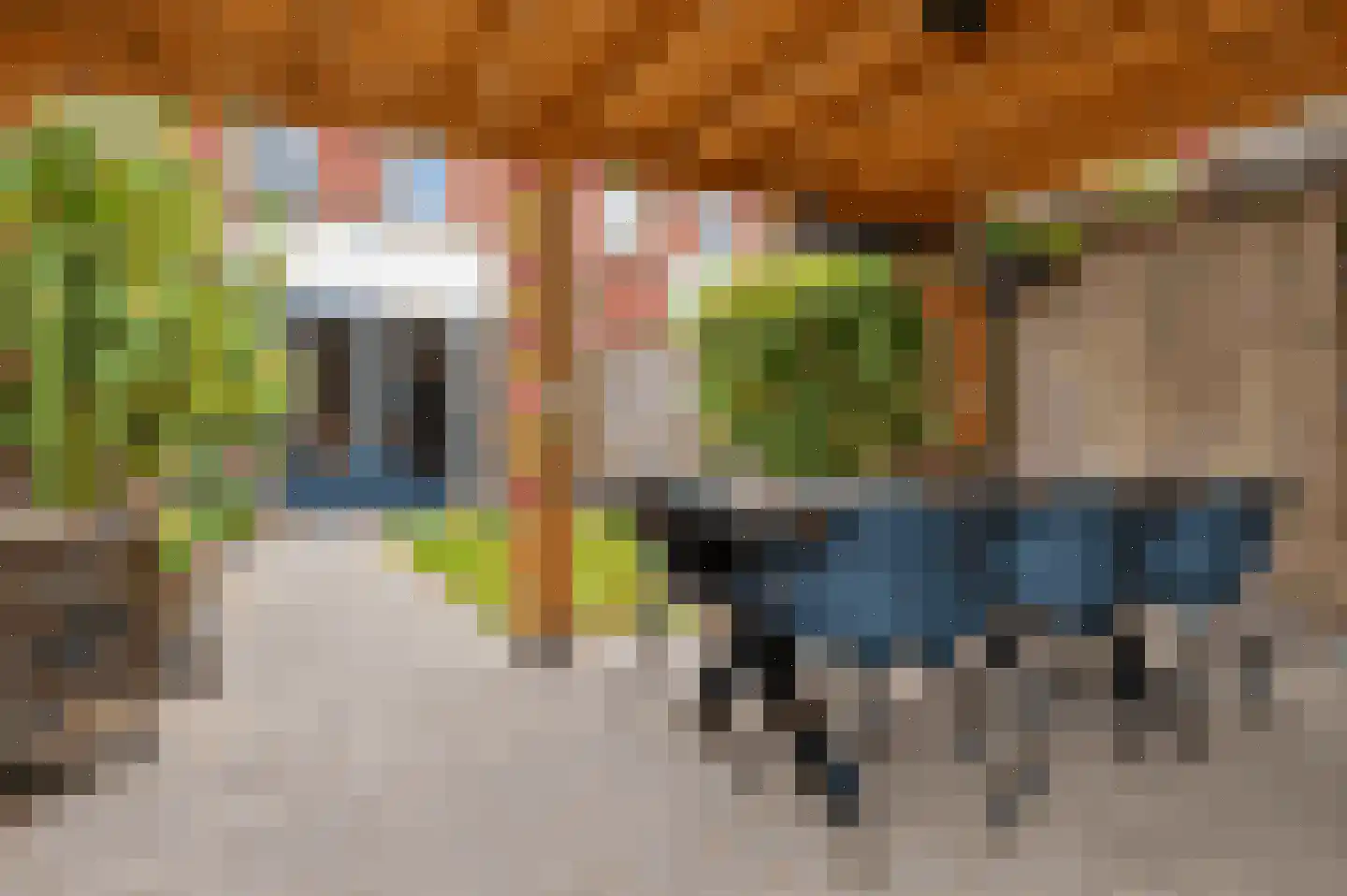 Vaandrig 6 Lierop thumbnail 23