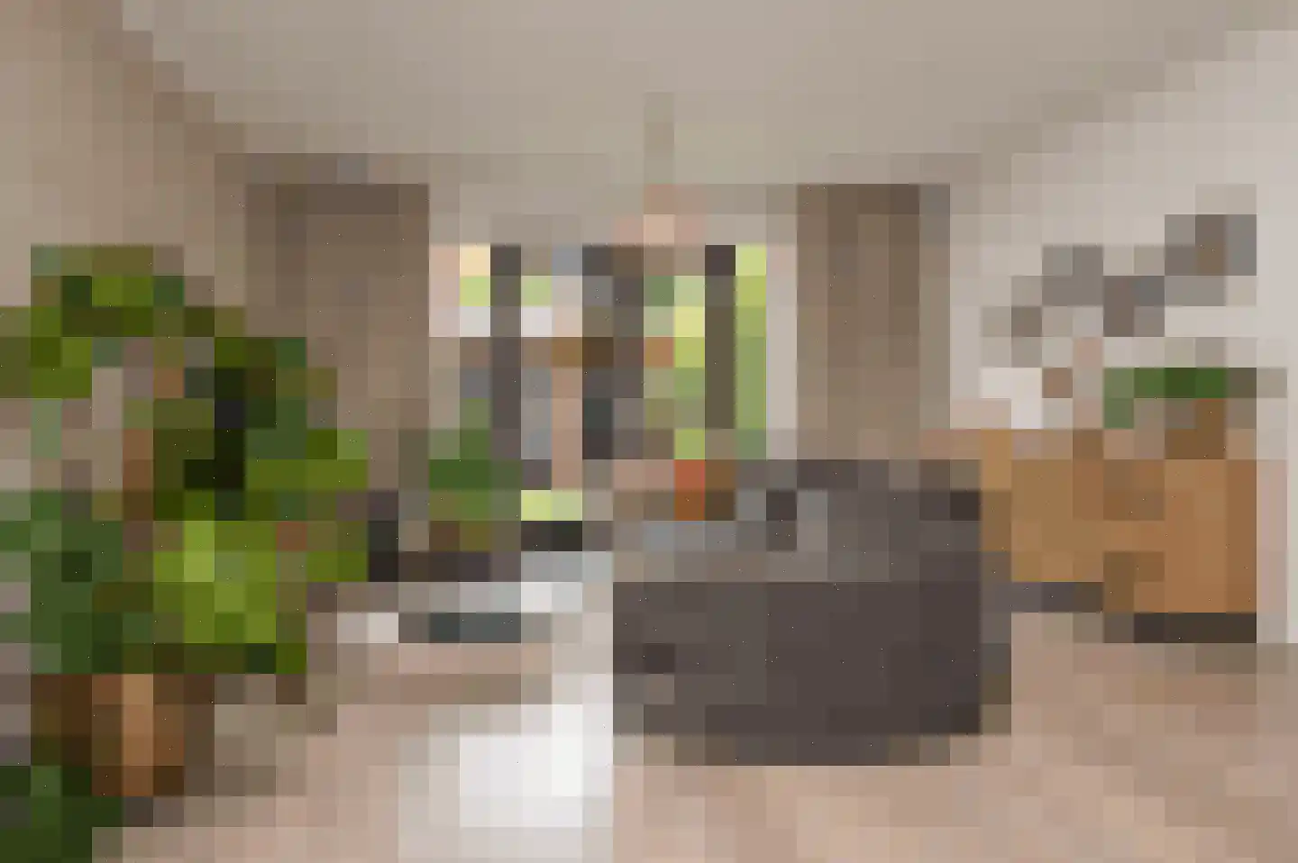 Vaandrig 6 Lierop foto 3