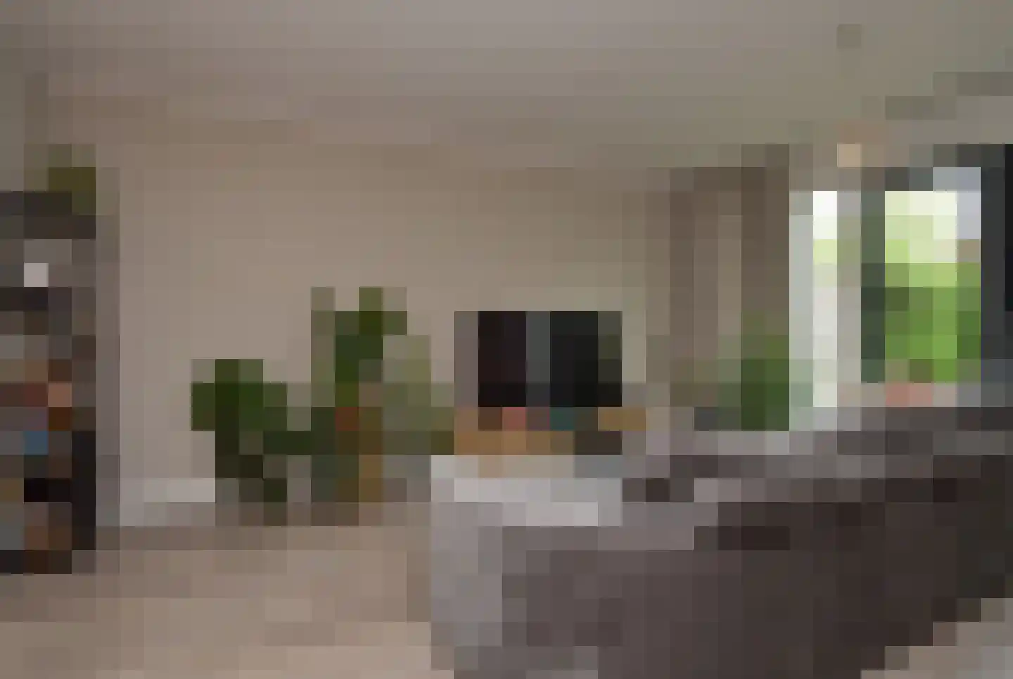 Vaandrig 6 Lierop thumbnail 8