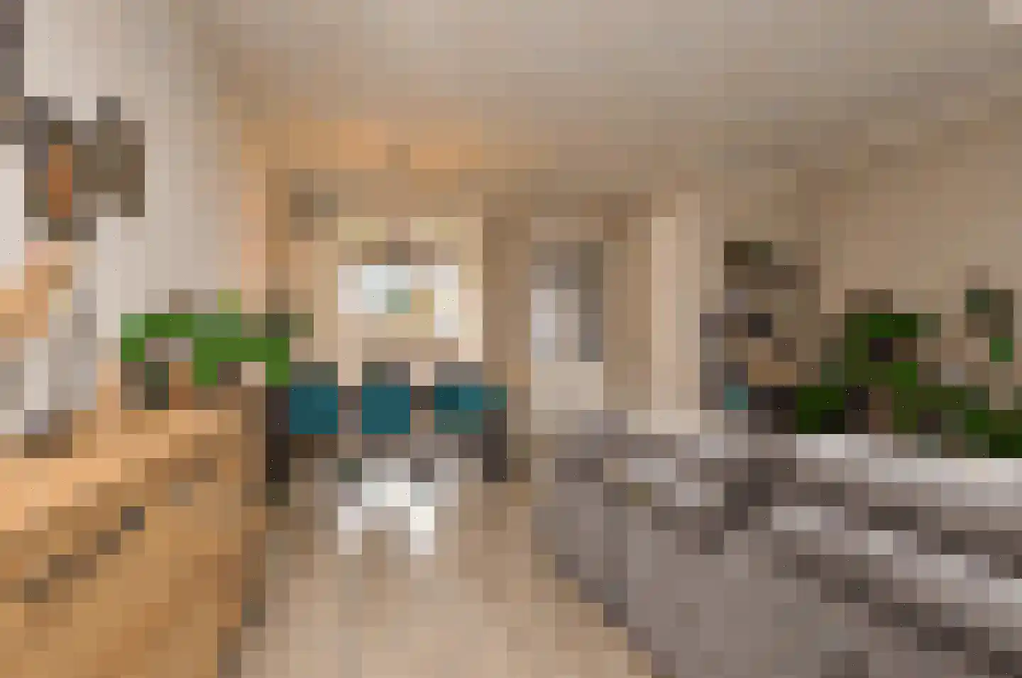 Vaandrig 6 Lierop thumbnail 9