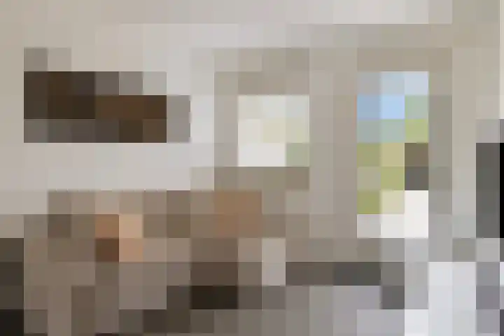 Vaandrig 8 Boxtel thumbnail 10
