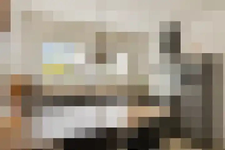 Vaandrig 8 Boxtel thumbnail 12