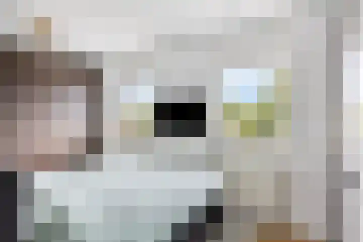 Vaandrig 8 Boxtel thumbnail 17