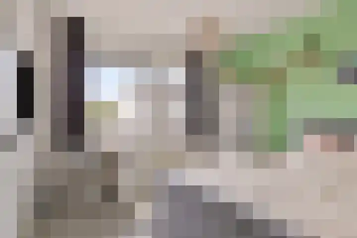 Vaandrig 8 Boxtel thumbnail 19