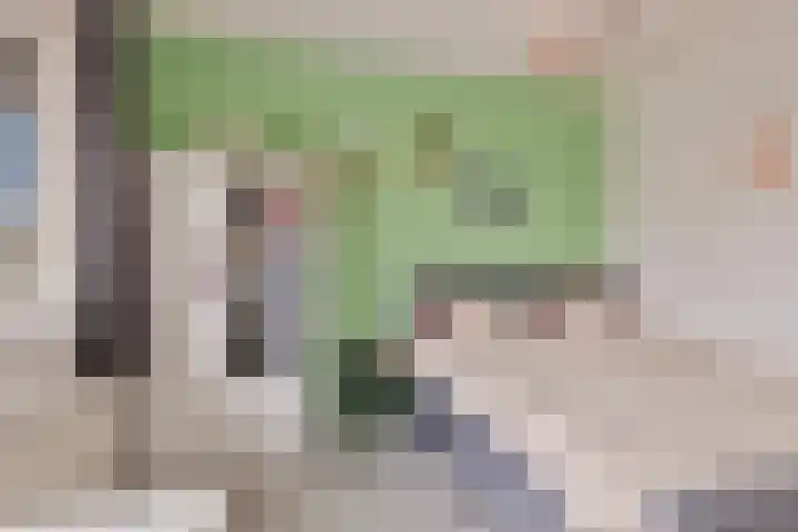 Vaandrig 8 Boxtel thumbnail 20