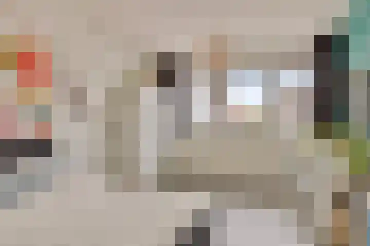 Vaandrig 8 Boxtel thumbnail 21